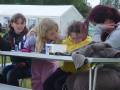 dsc02863.jpg